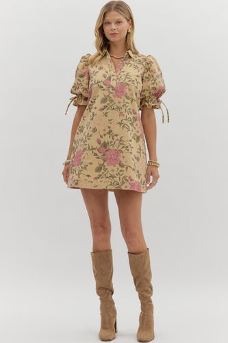 Rosy Feeling Dress