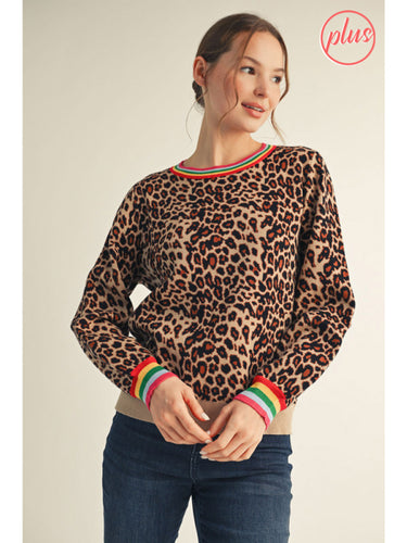 Leopard With Color Sweater