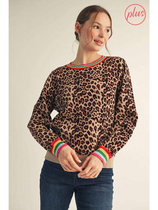 Leopard With Color Sweater