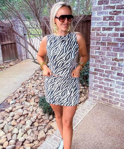 Getting Wild Zebra Set