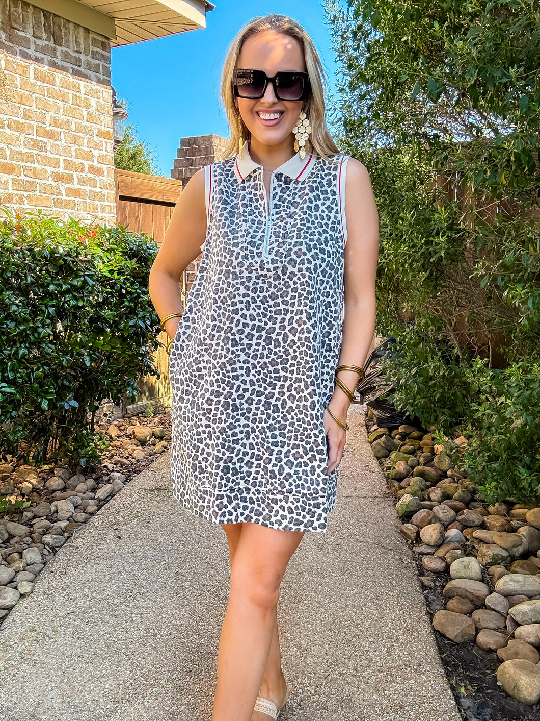 Daisy Leopard Collared Dress